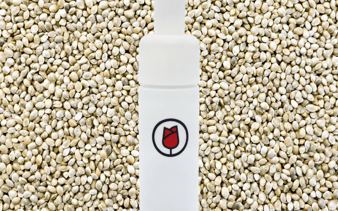 What’s Inside? — Exploring Hemp Seed Oil